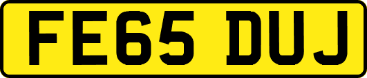 FE65DUJ