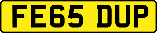 FE65DUP