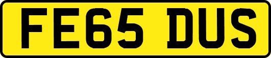 FE65DUS