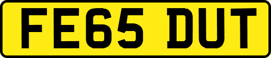FE65DUT