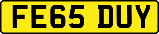 FE65DUY