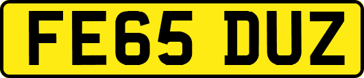 FE65DUZ