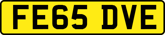 FE65DVE