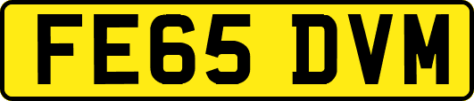 FE65DVM