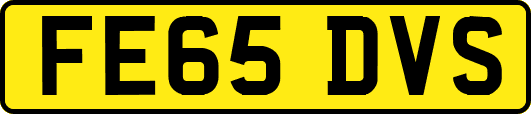 FE65DVS