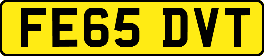 FE65DVT