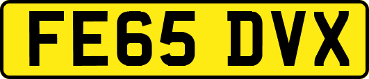 FE65DVX