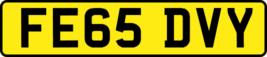 FE65DVY