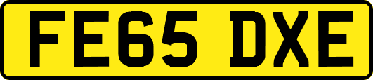 FE65DXE