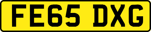 FE65DXG