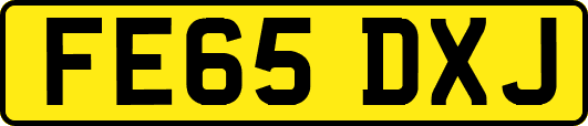 FE65DXJ