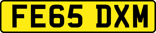 FE65DXM