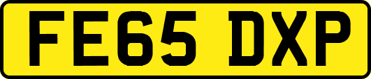 FE65DXP