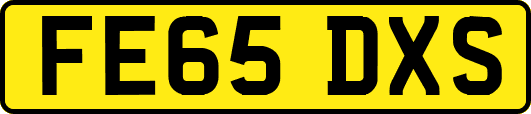 FE65DXS