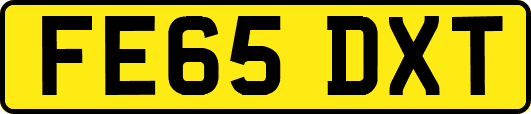 FE65DXT