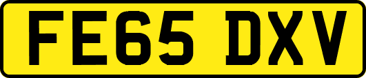 FE65DXV