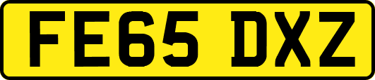 FE65DXZ