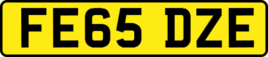 FE65DZE