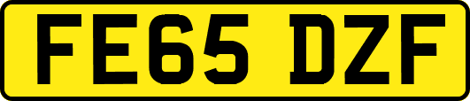 FE65DZF