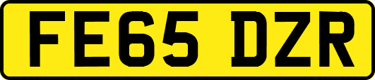FE65DZR