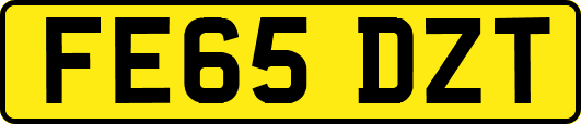 FE65DZT