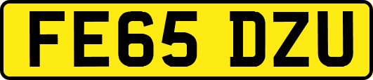 FE65DZU