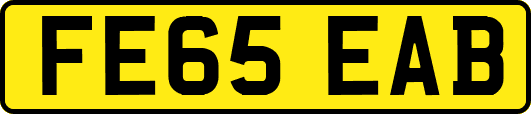 FE65EAB