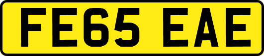 FE65EAE