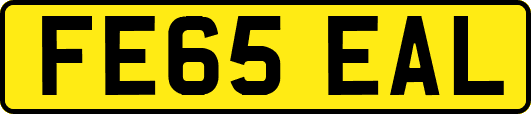 FE65EAL
