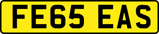 FE65EAS