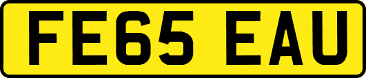 FE65EAU