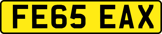 FE65EAX