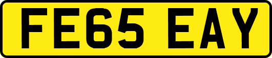 FE65EAY