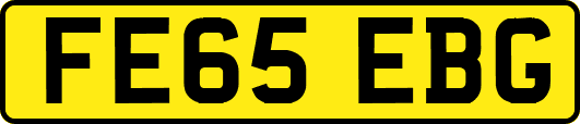 FE65EBG