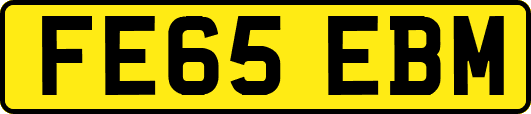 FE65EBM