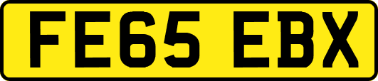 FE65EBX