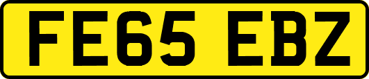 FE65EBZ