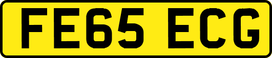 FE65ECG