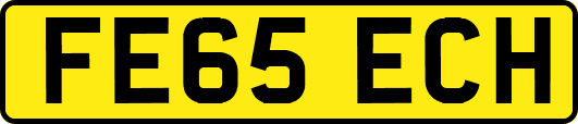 FE65ECH