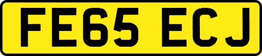 FE65ECJ