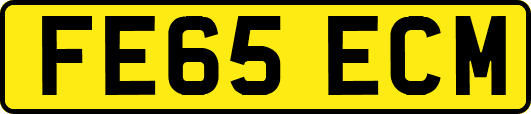 FE65ECM