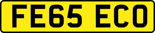 FE65ECO
