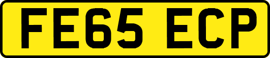 FE65ECP