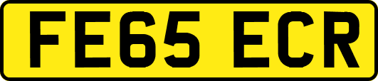 FE65ECR