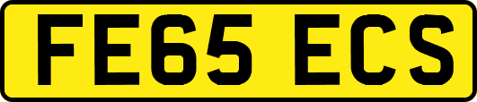 FE65ECS