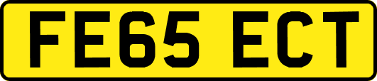 FE65ECT