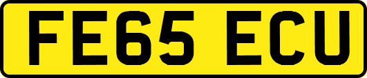 FE65ECU