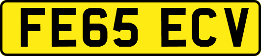 FE65ECV