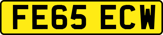 FE65ECW