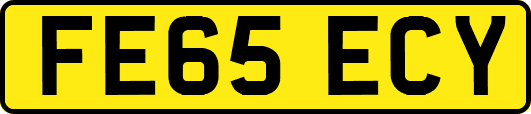 FE65ECY